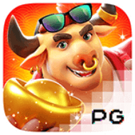pp image